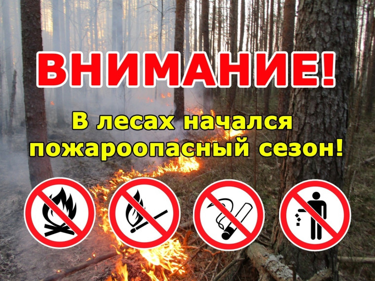 Приказ о начале пожароопасного сезона в лесах Красноярского края с 26 марта 2025 года.